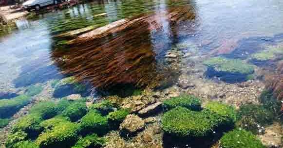 عکس جاهای دیدنی چهارمحال بختیاری