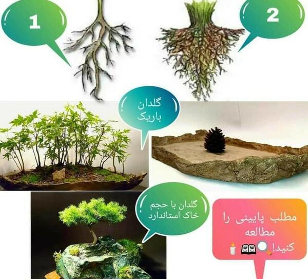 عکس خاک فانتزی