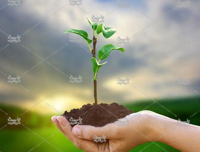 عکس خاک فانتزی