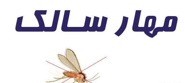 عکس پشه ناقل سالک