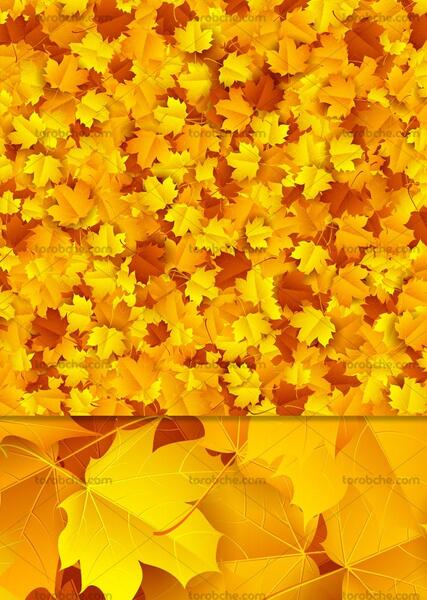عکس تصویر زمینه برگ پاییزی