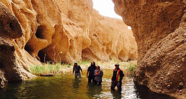 عکس از کال جنی طبس