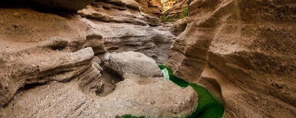 عکس از کال جنی طبس