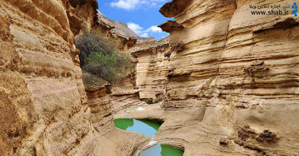 عکس از کال جنی طبس