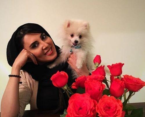 عکس سگ زیبا خانگی