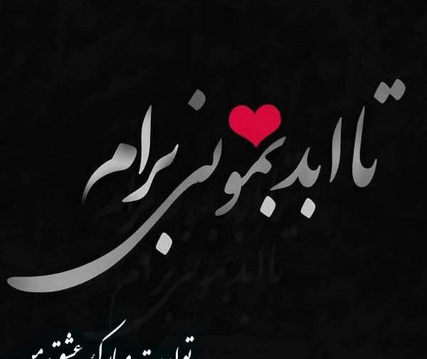 عکس تولدت مبارک همسر جانم