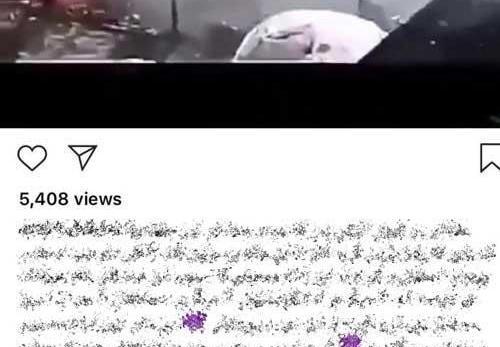 عکس محرمی تتلو