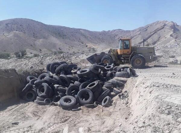 عکس پشه آئدس