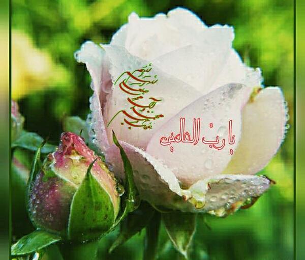 عکس پروف صلوات