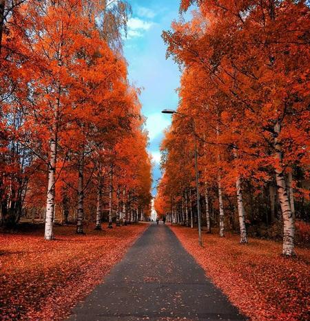عکس پاییز جذاب