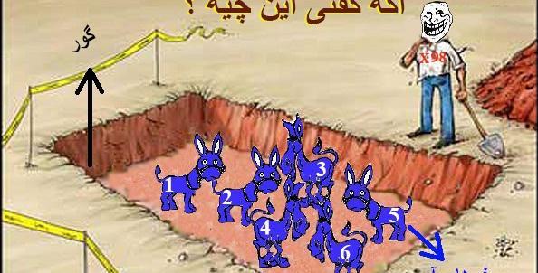 عکس تیم کیسه