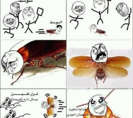عکس سوسک خنده دار