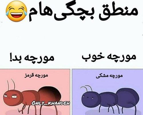 عکس سوسک خنده دار