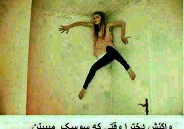 عکس سوسک خنده دار