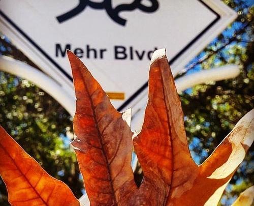 عکس پاییز مهرماه