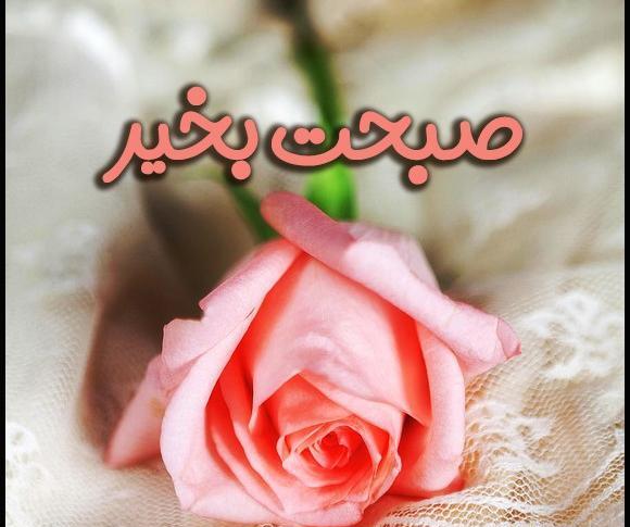 عکس تصاویر گلهای زیبا برای صبح بخیر