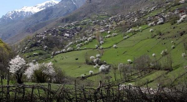 عکس روستای ناتر