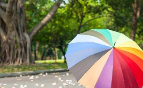 عکس پروفایل چتر و پاییز