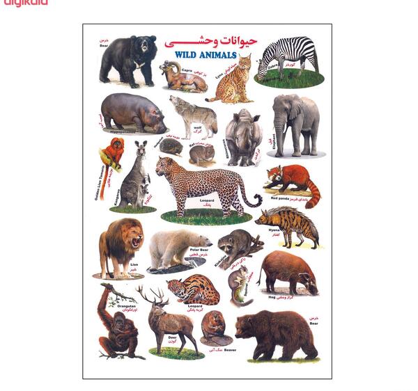 عکس حیوانات وحشی برای کودکان
