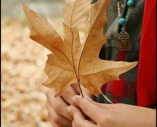 عکس برگ پاییزی روی صورت