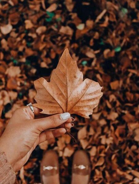 عکس برگ پاییزی روی صورت