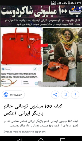 عکس کیف صد میلیونی الناز شاکردوست
