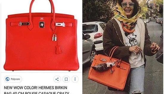 عکس کیف صد میلیونی الناز شاکردوست