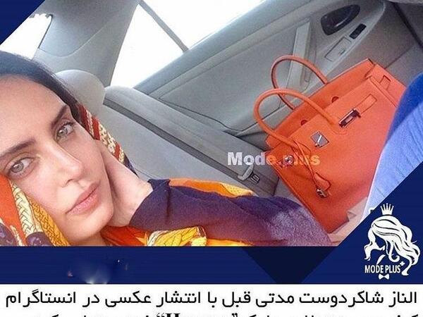 عکس کیف صد میلیونی الناز شاکردوست