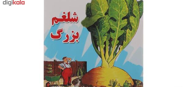عکس شلغم نقاشی