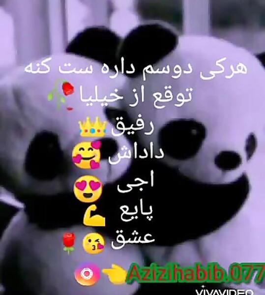 عکس وضعیت واتساپ ست