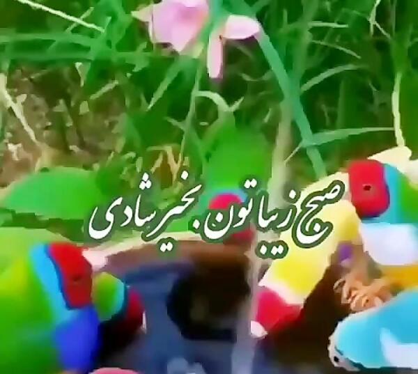 عکس وضعیت واتساپ ست