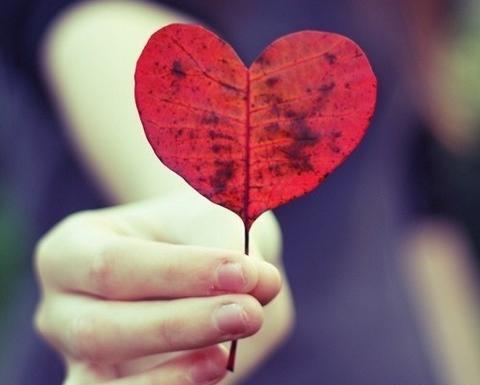 عکس پاییز قلبی