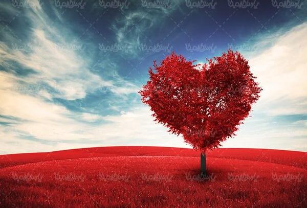 عکس پاییز قلبی
