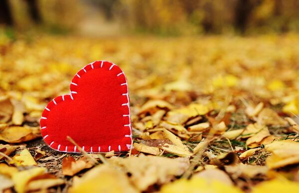 عکس پاییز قلبی