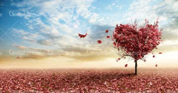 عکس پاییز قلبی