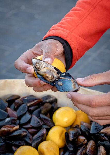 عکس غذای صدف پلو