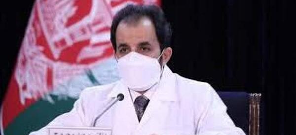 عکس ویروس قارچ سیاه