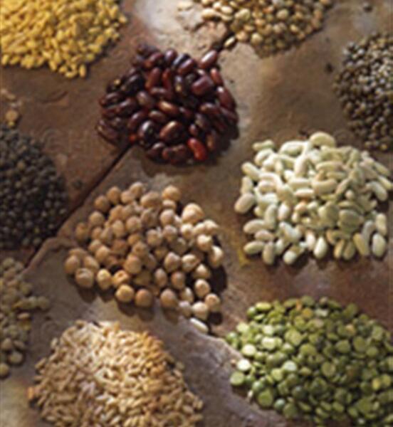 عکس گروه حبوبات