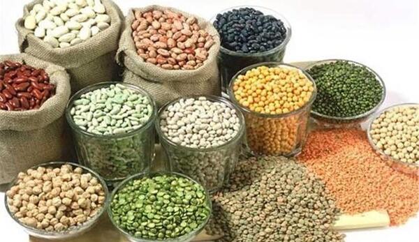 عکس گروه حبوبات