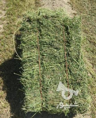 عکس یونجه بسته بندی