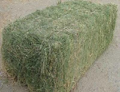 عکس یونجه بسته بندی