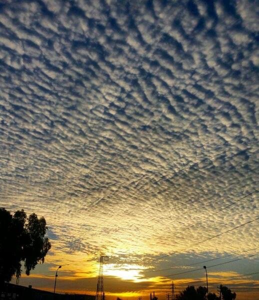 عکس طبیعت عصر