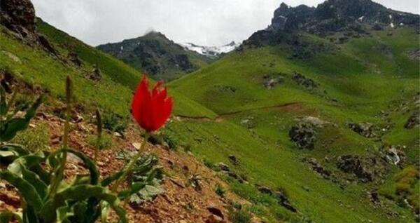عکس طبیعت عصر