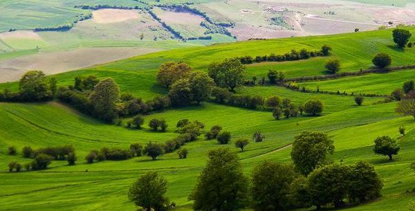 عکس جاهای سرسبز شمال