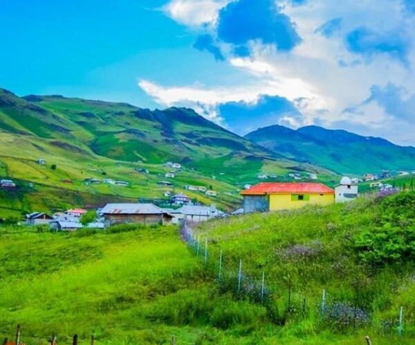 عکس جاهای سرسبز شمال