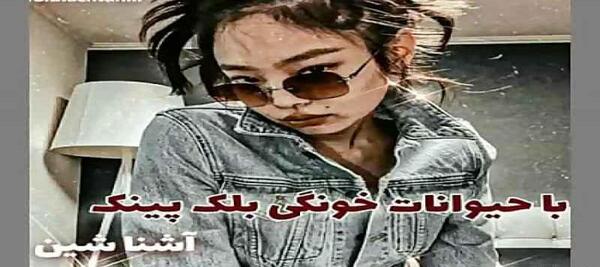 عکس سگ جنی بلک پینک