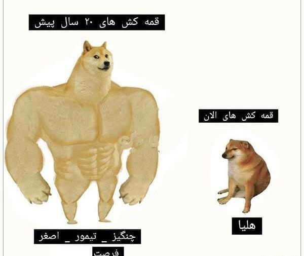 عکس های خنده دار هلیا قمه کش