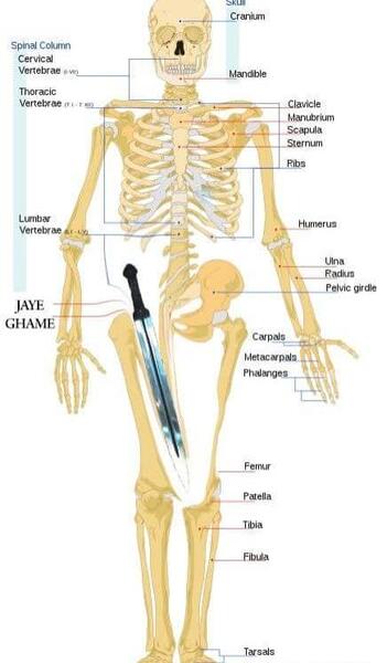 عکس های خنده دار هلیا قمه کش