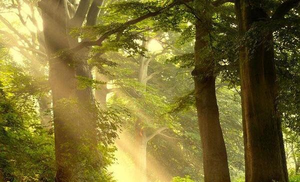 عکس طبیعت زیبای خدا