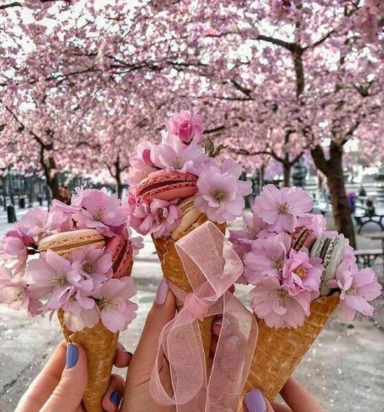 عکس پاییز صورتی
